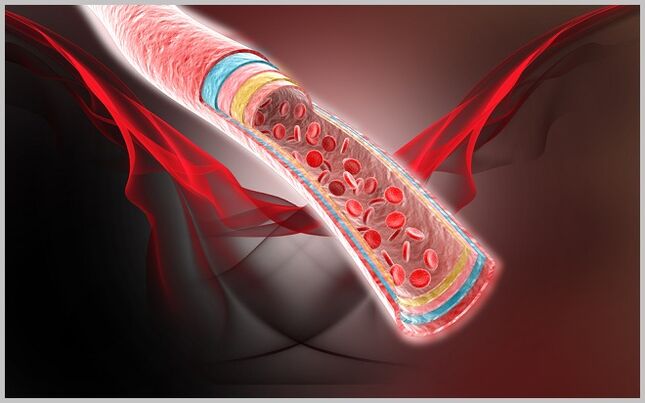 blood flow in veins after treatment of varicose veins with gel